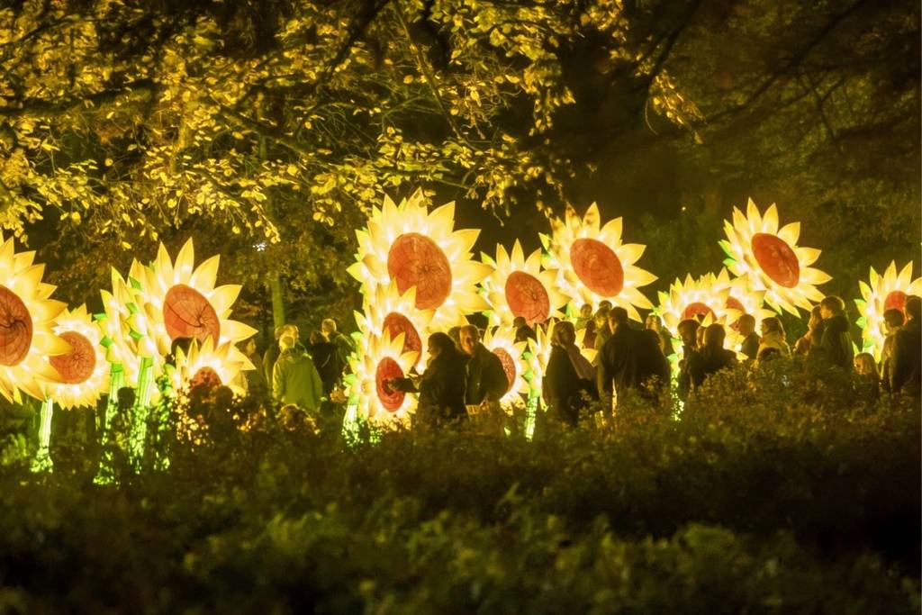 Glow México llega a Puebla: El impresionante festival europeo de luz que estará gratis a 2 horas de CDMX